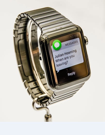Apple Developer WatchKit